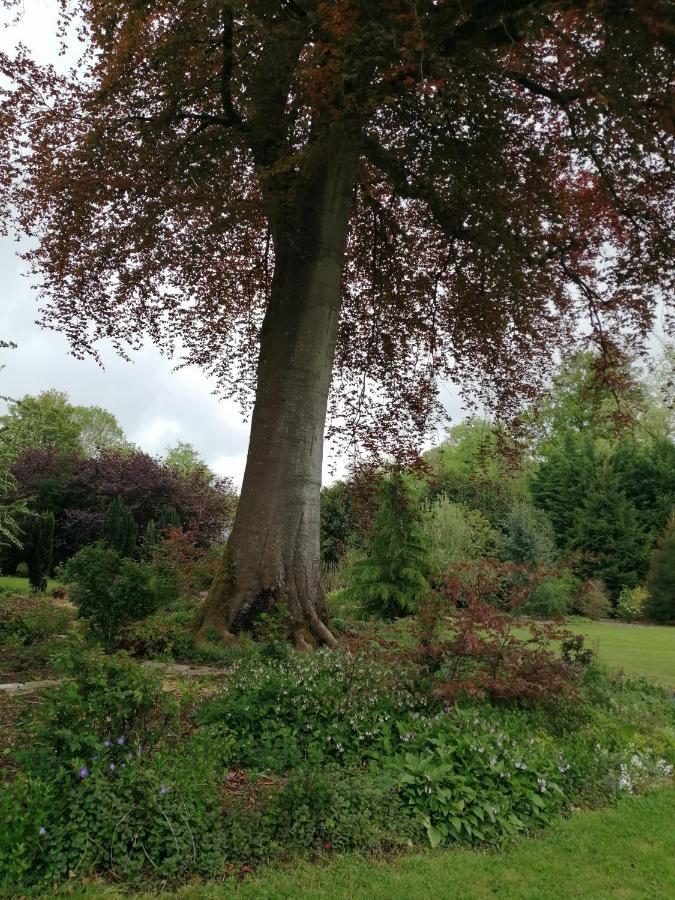 Chambre Le Notre Le Domaine Des Jardins De Bracquetuit 외부 사진
