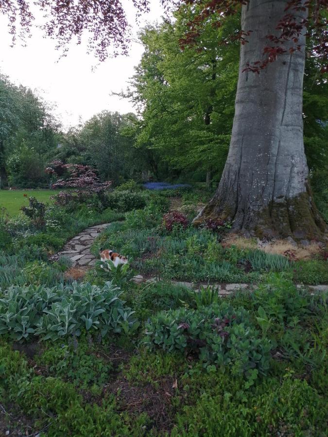 Chambre Le Notre Le Domaine Des Jardins De Bracquetuit 외부 사진