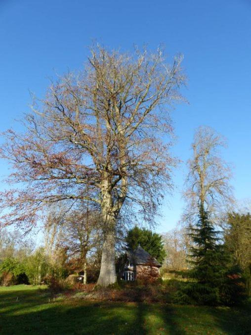 Chambre Le Notre Le Domaine Des Jardins De Bracquetuit 외부 사진