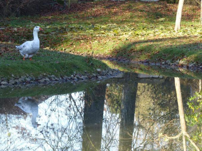 Chambre Le Notre Le Domaine Des Jardins De Bracquetuit 외부 사진